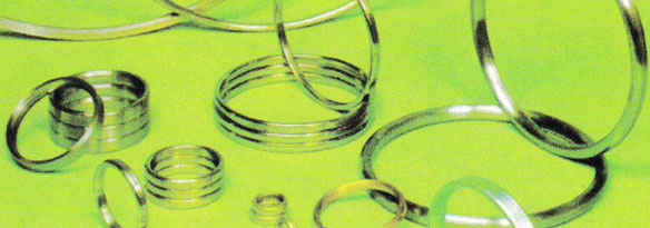 Sealing Technology & Engineering Products Manufacturing